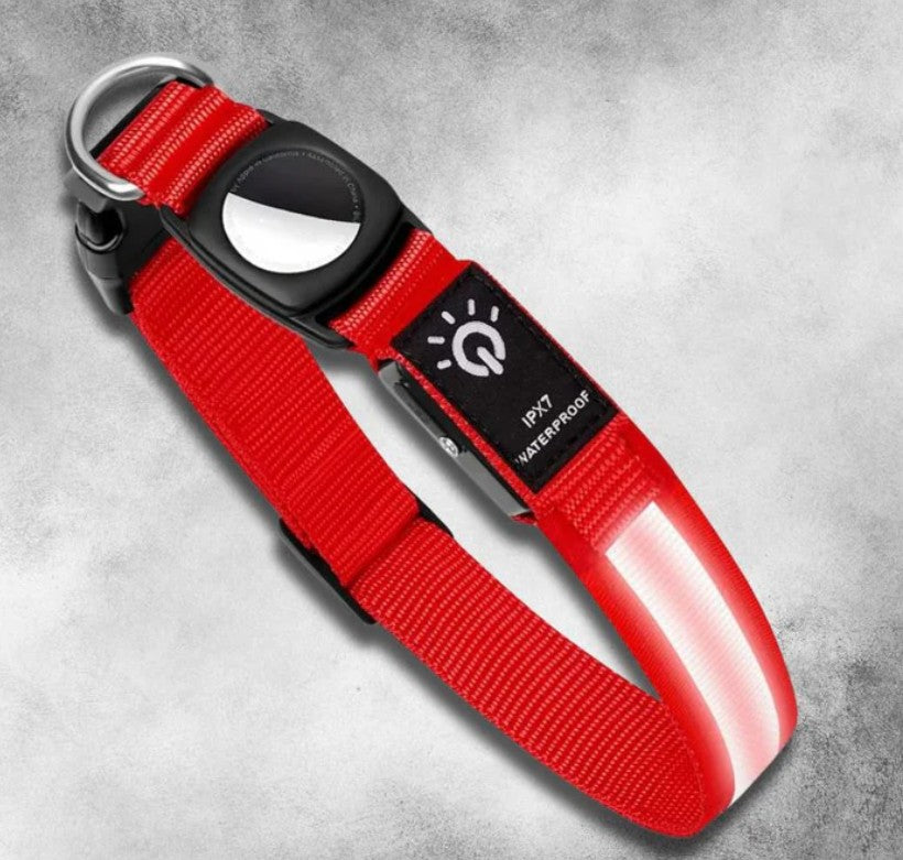 Collier GPS Chien - EclaiColl™