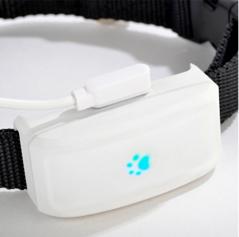 Collier GPS Chien - GeoChien™