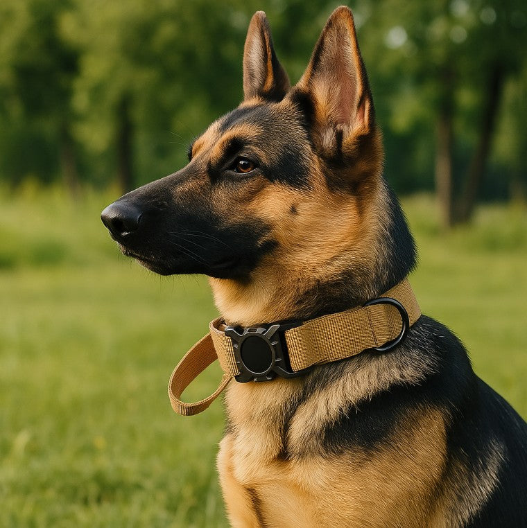Collier GPS Chien - SécuBoucle™