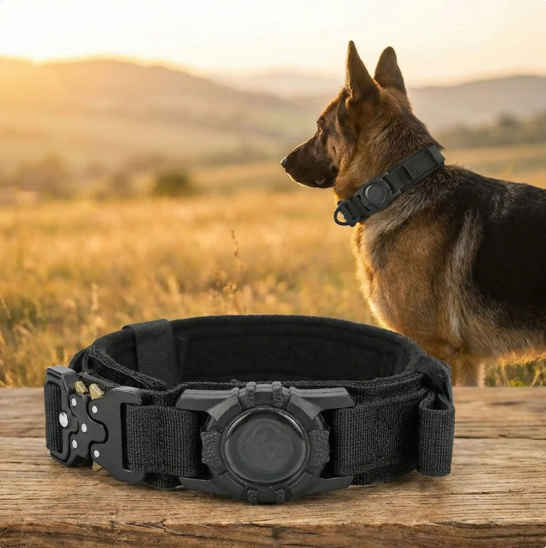 Collier GPS Chien - SécuBoucle™