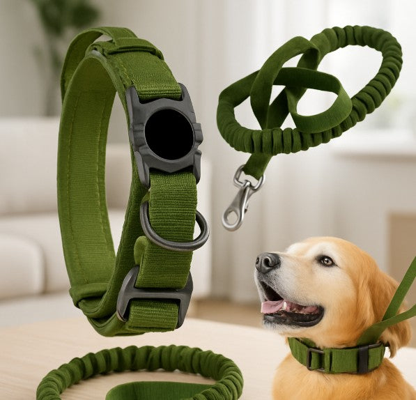 Collier GPS Chien - SécuBoucle™