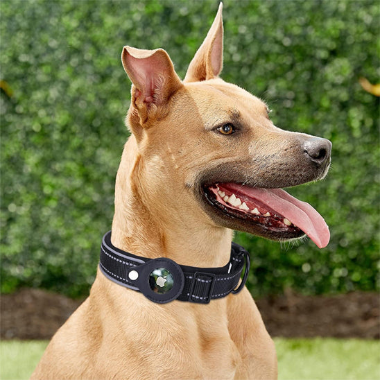 Collier GPS Chien - SécuTag™ | Sans Airtag