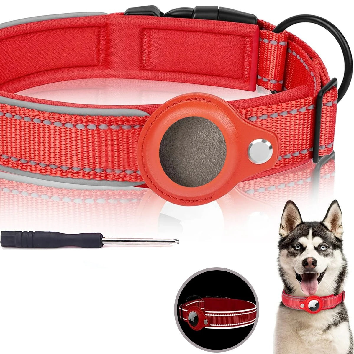 Collier GPS Chien - SécuTag™ | Sans Airtag