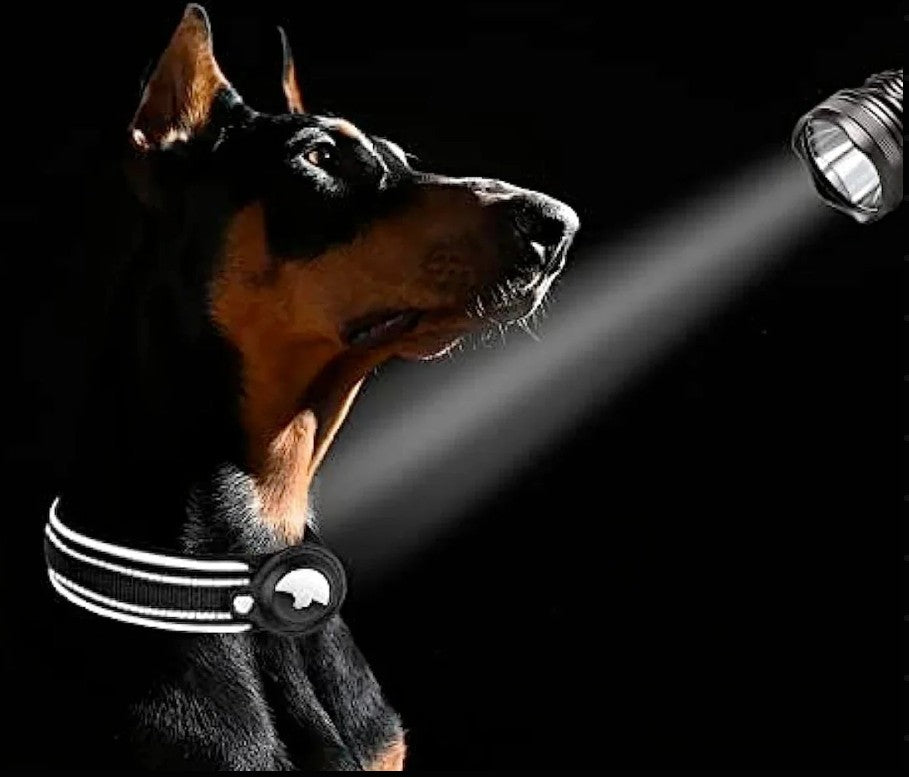 Collier GPS Chien - SécuTag™ | Sans Airtag