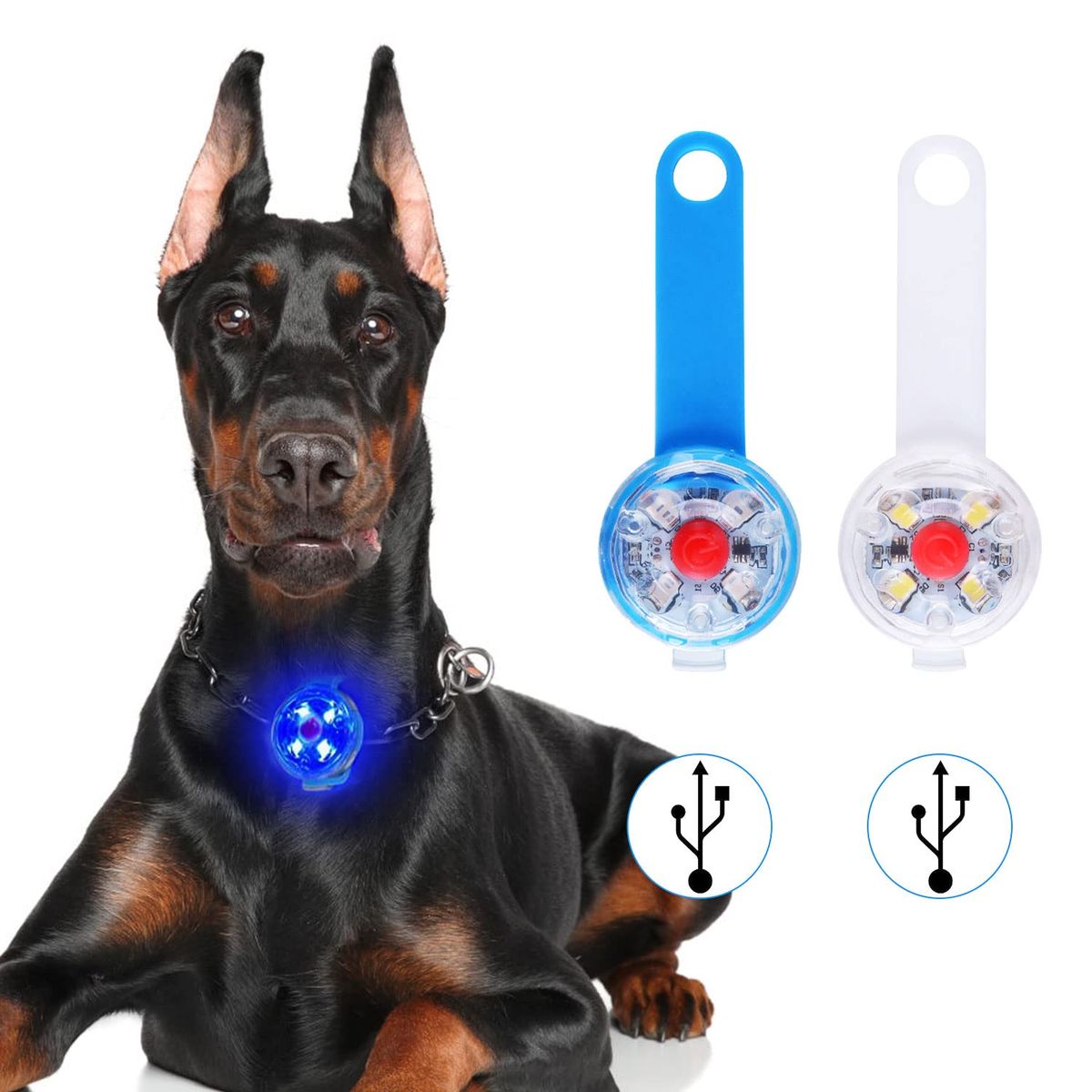Collier lumineux pour Chien - LumoCollier™