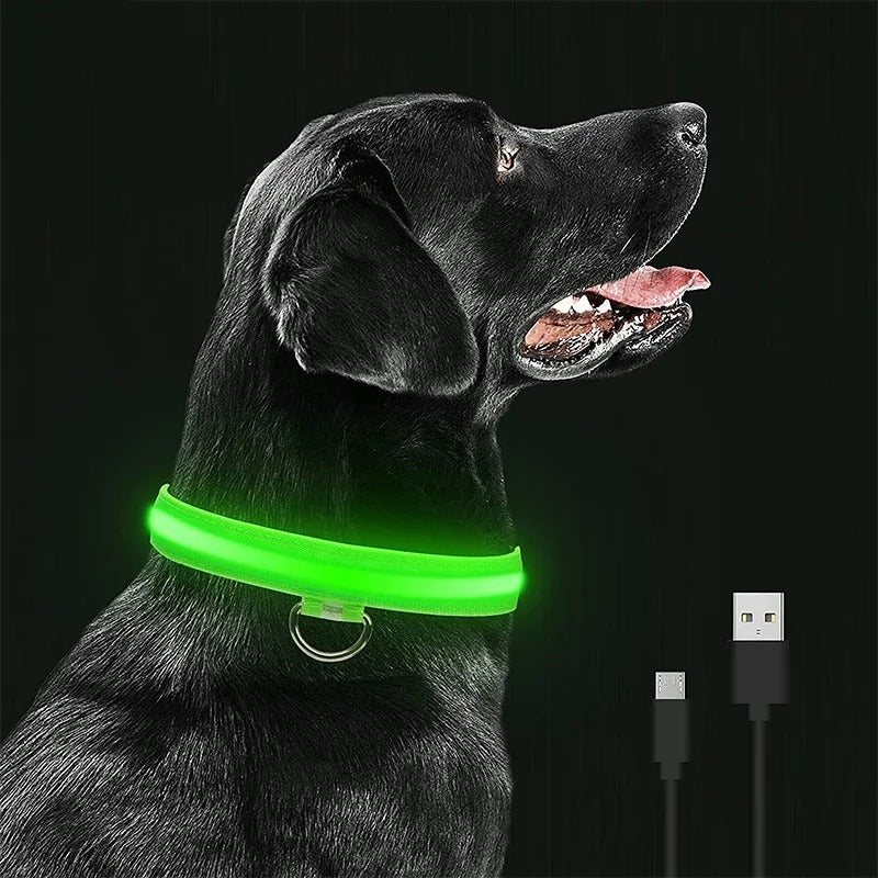 Collier lumineux pour chien-LumiCanin™
