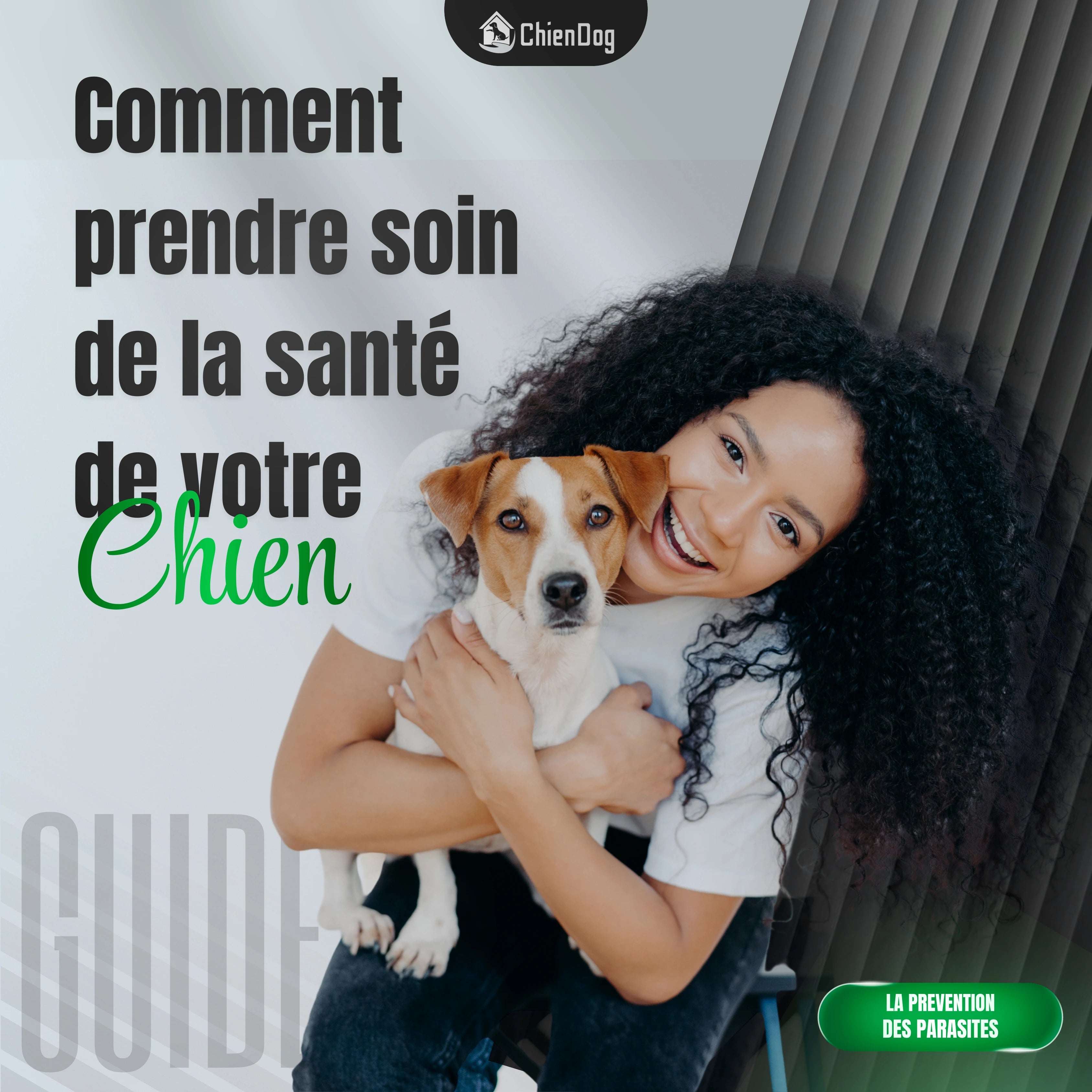 Guide Santé du Chien : 9 Clés Essentielles pour un Chien en Pleine Forme
