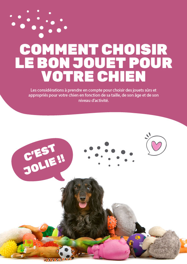E-book : Comment choisir le bon jouet pour votre chien