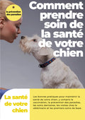 E-book : Comment prendre soin de la santé de votre chien