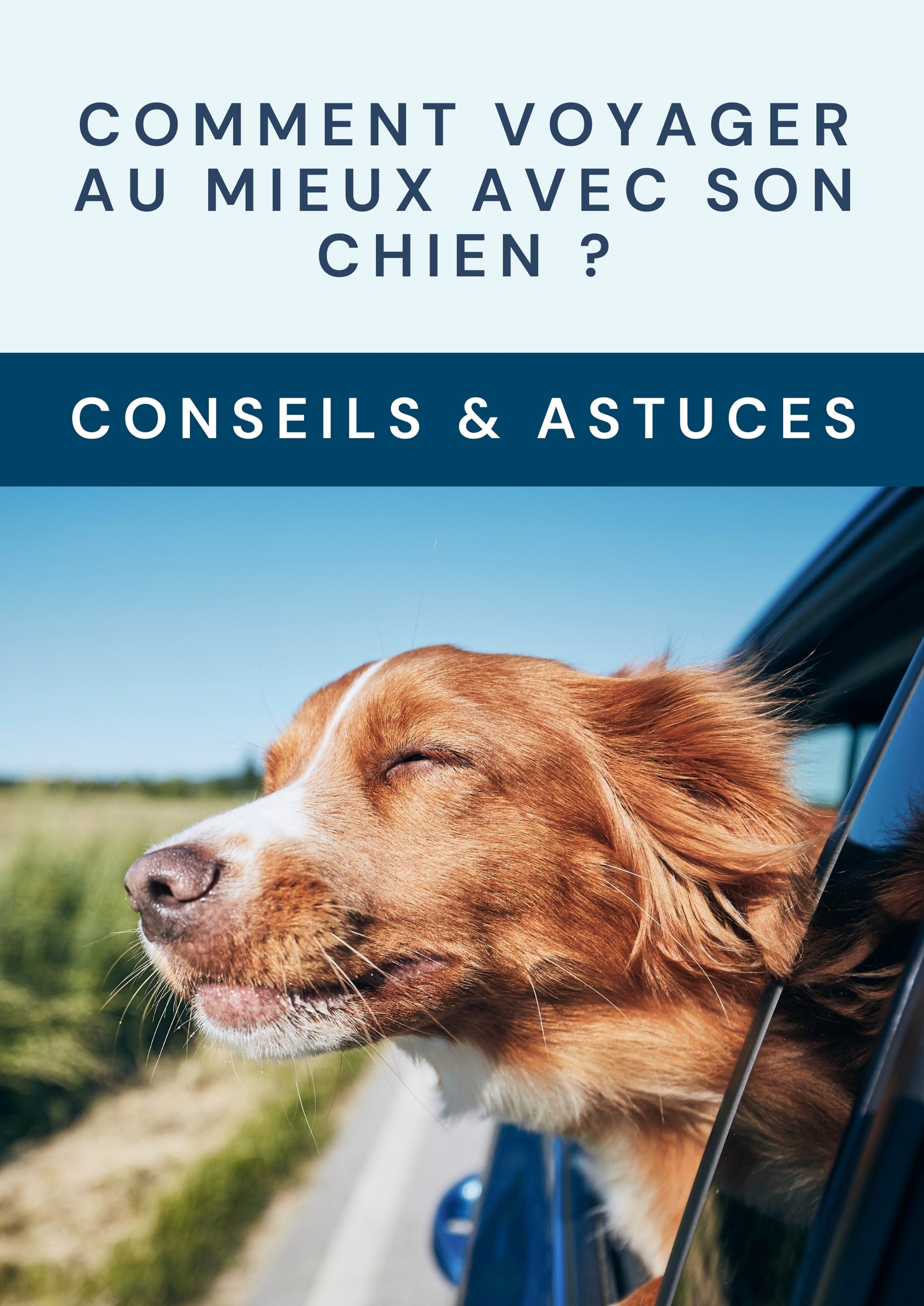 E-book : Comment voyager au mieux avec son Chien?
