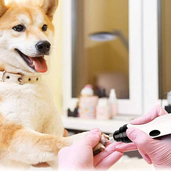 Coupe Griffe Chien - GriffLime™