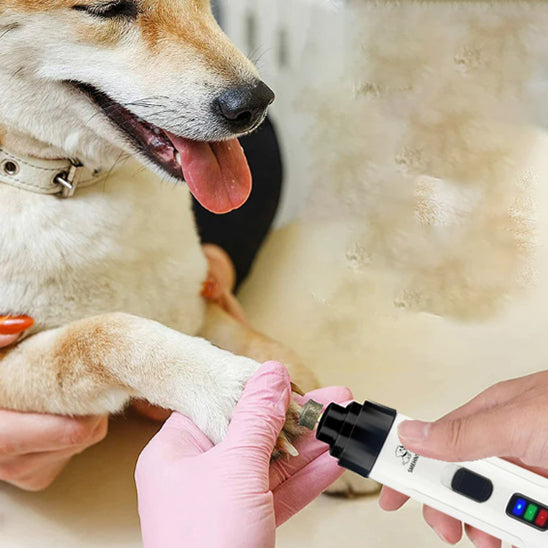 Coupe Griffe Chien - GriffLime™