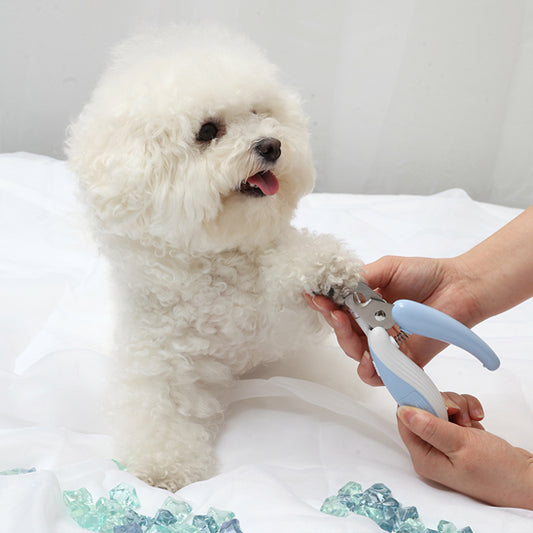 Coupe Griffe Chien - LumiGriff™