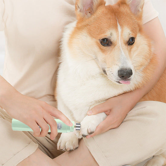 Coupe Griffe Chien - OngLim™