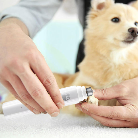 Coupe Griffe Chien - OngLim™