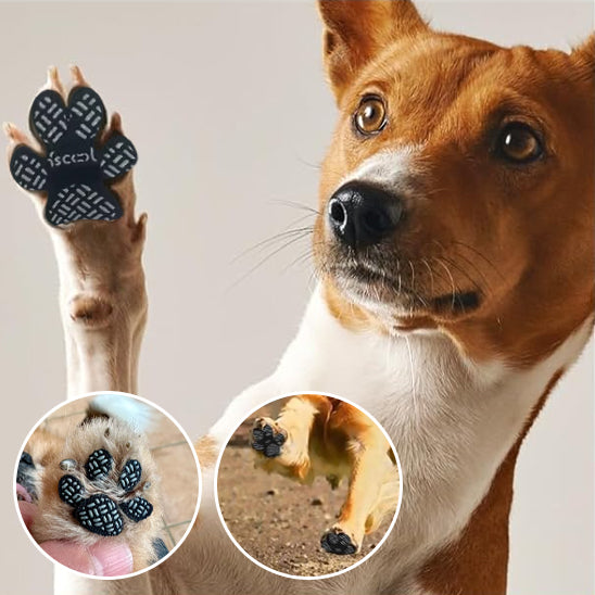 Coussinet Chien - Patounes™