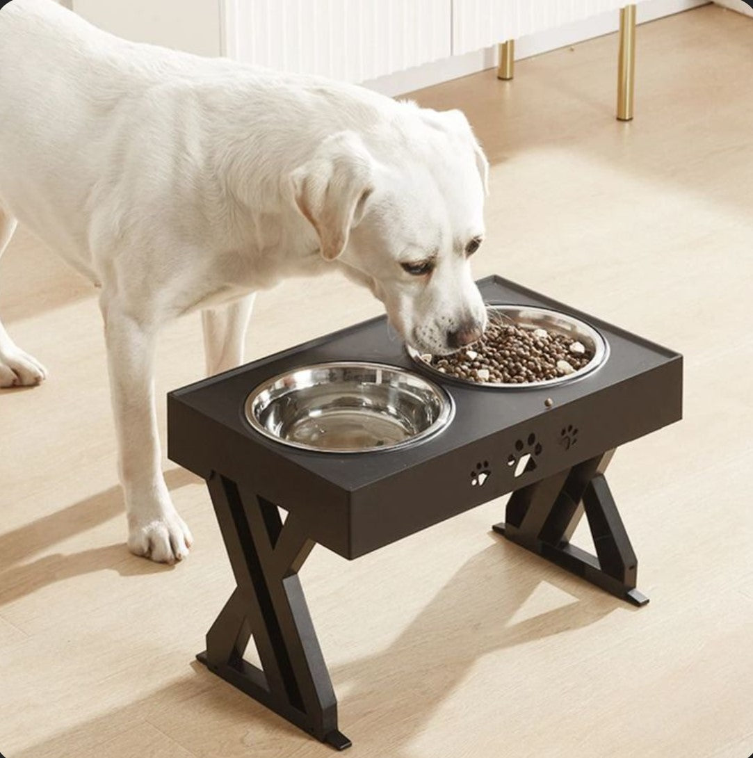 Gamelle pour Chien - ElevoBol™