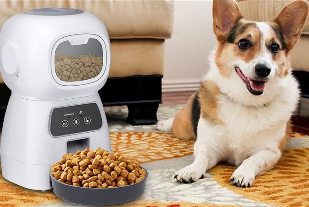 Distributeur de Croquettes - CroqMatic™