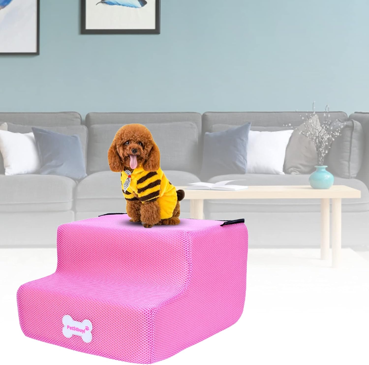 Escalier pour Chien - GrimPaw™