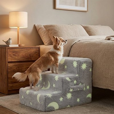 Escalier pour chien 