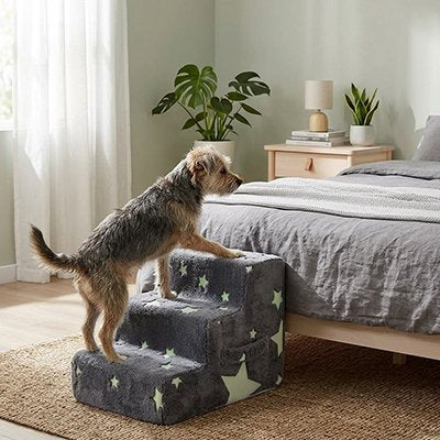 Escalier pour chien 