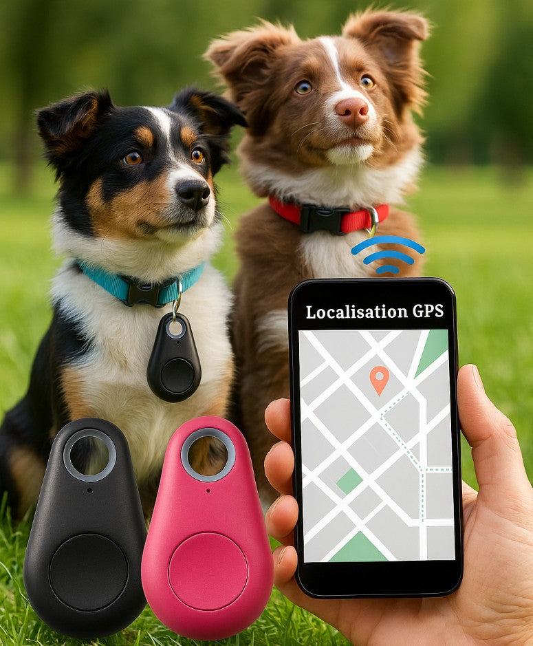 GPS Chien - MiniSuivi™
