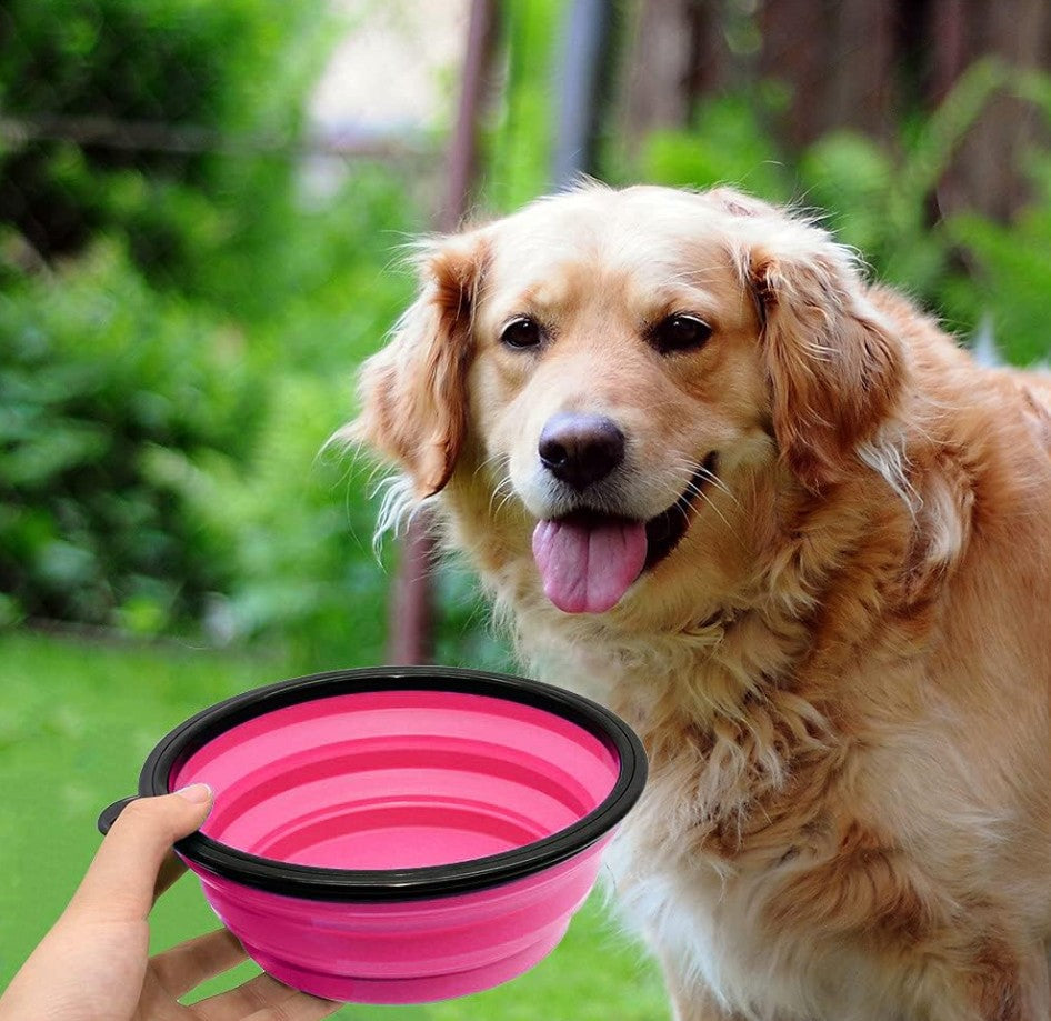 Gamelle Chien Pliable - Pli’Toutou™