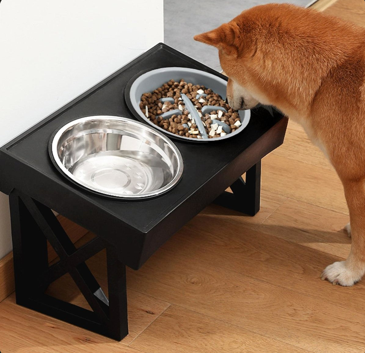 Gamelle pour Chien - ElevoBol™