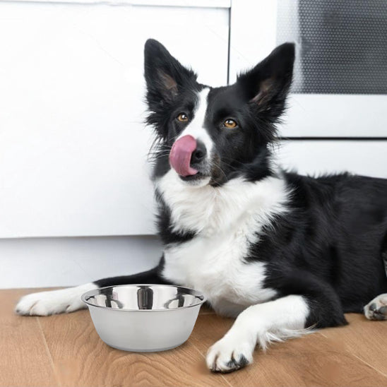 Gamelle Chien - Bol’Miam™