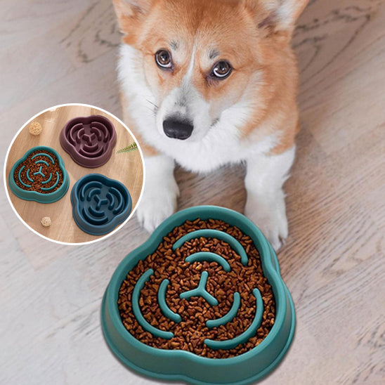 Gamelle pour chien - Croq'Lent™