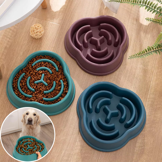 Gamelle pour chien - Croq'Lent™