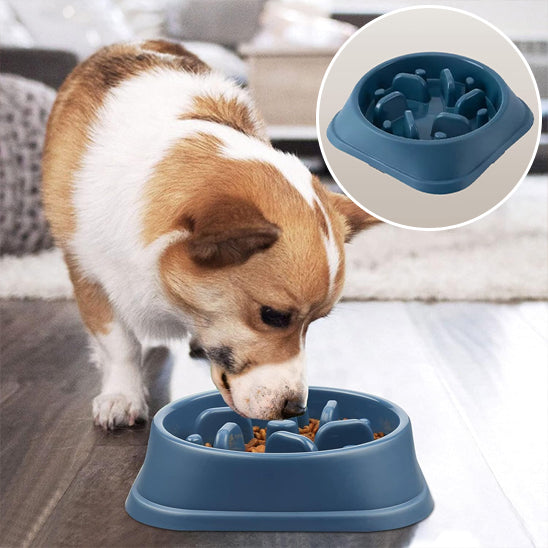 Gamelle pour chien - Croq'Lent™