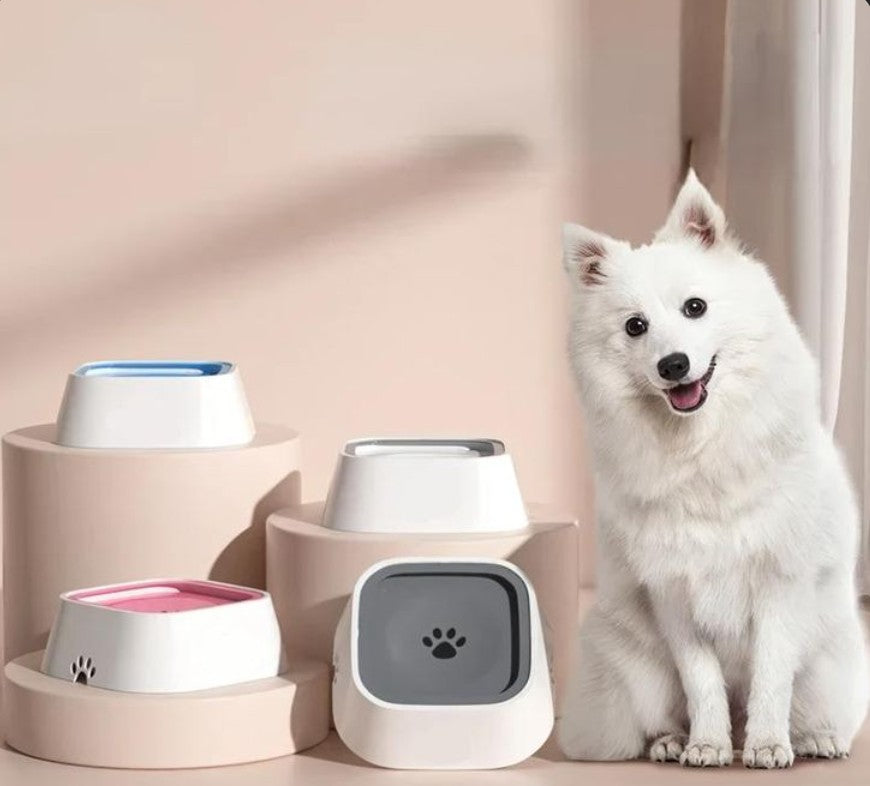 Gamelle Chien - SplashStop™