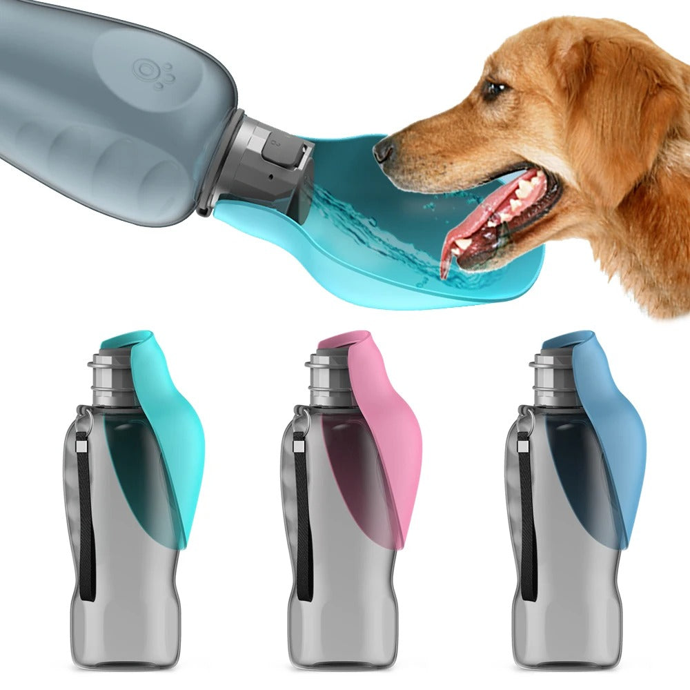 Gourde pour Chien - ChienGlou™