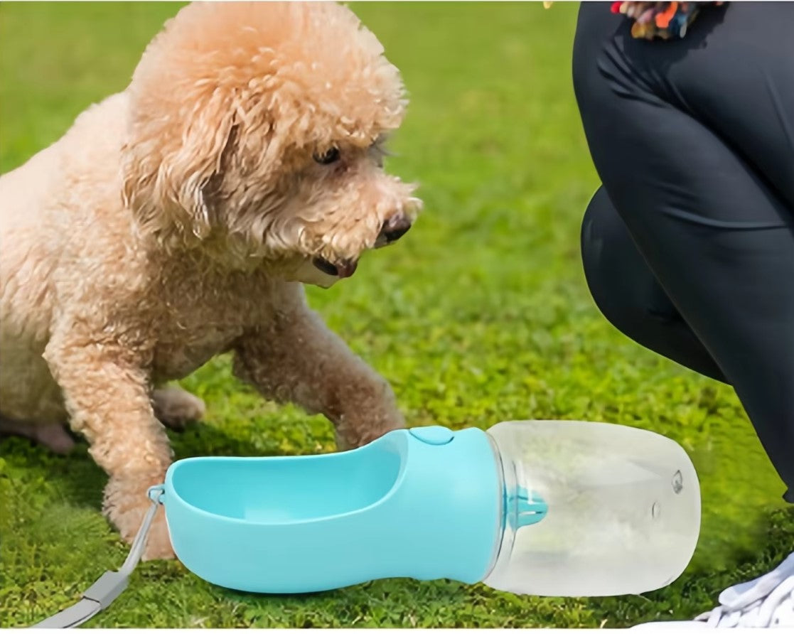 Gourde pour Chien - MiamHydro™