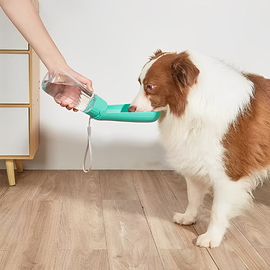 Gourde pour Chien - HydroChien™