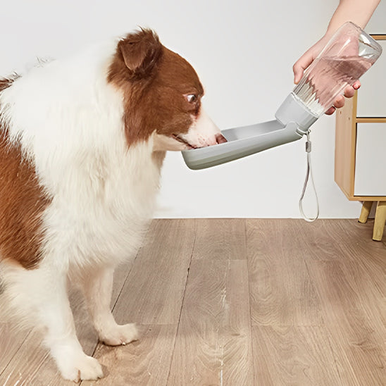 Gourde pour Chien - HydroChien™