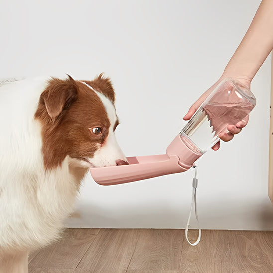 Gourde pour Chien - HydroChien™