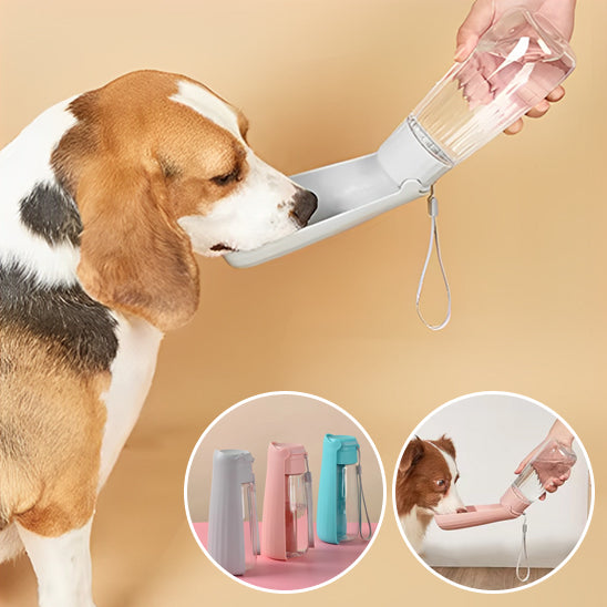 Gourde pour Chien - HydroChien™