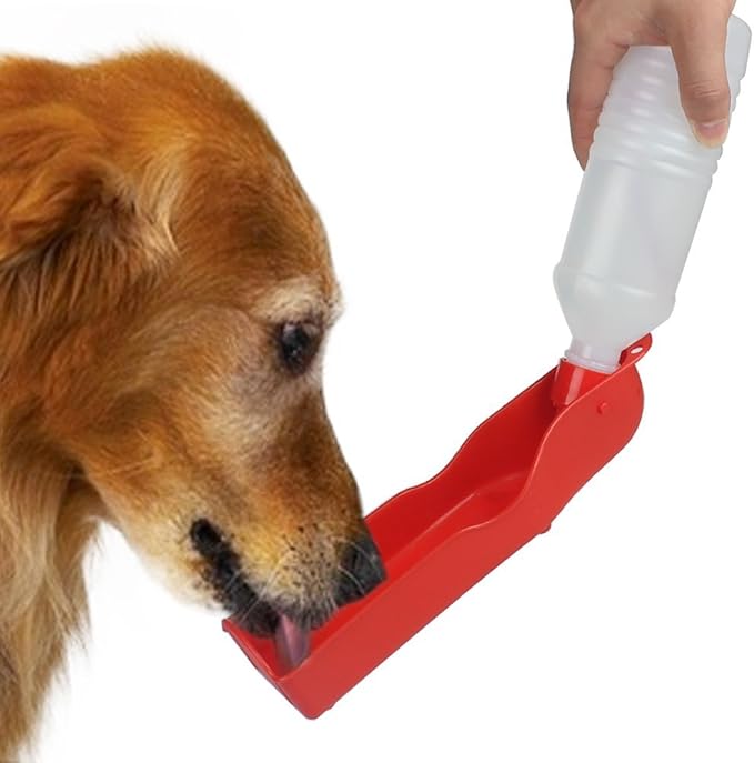 Gourde pour Chien - HydroPatte™