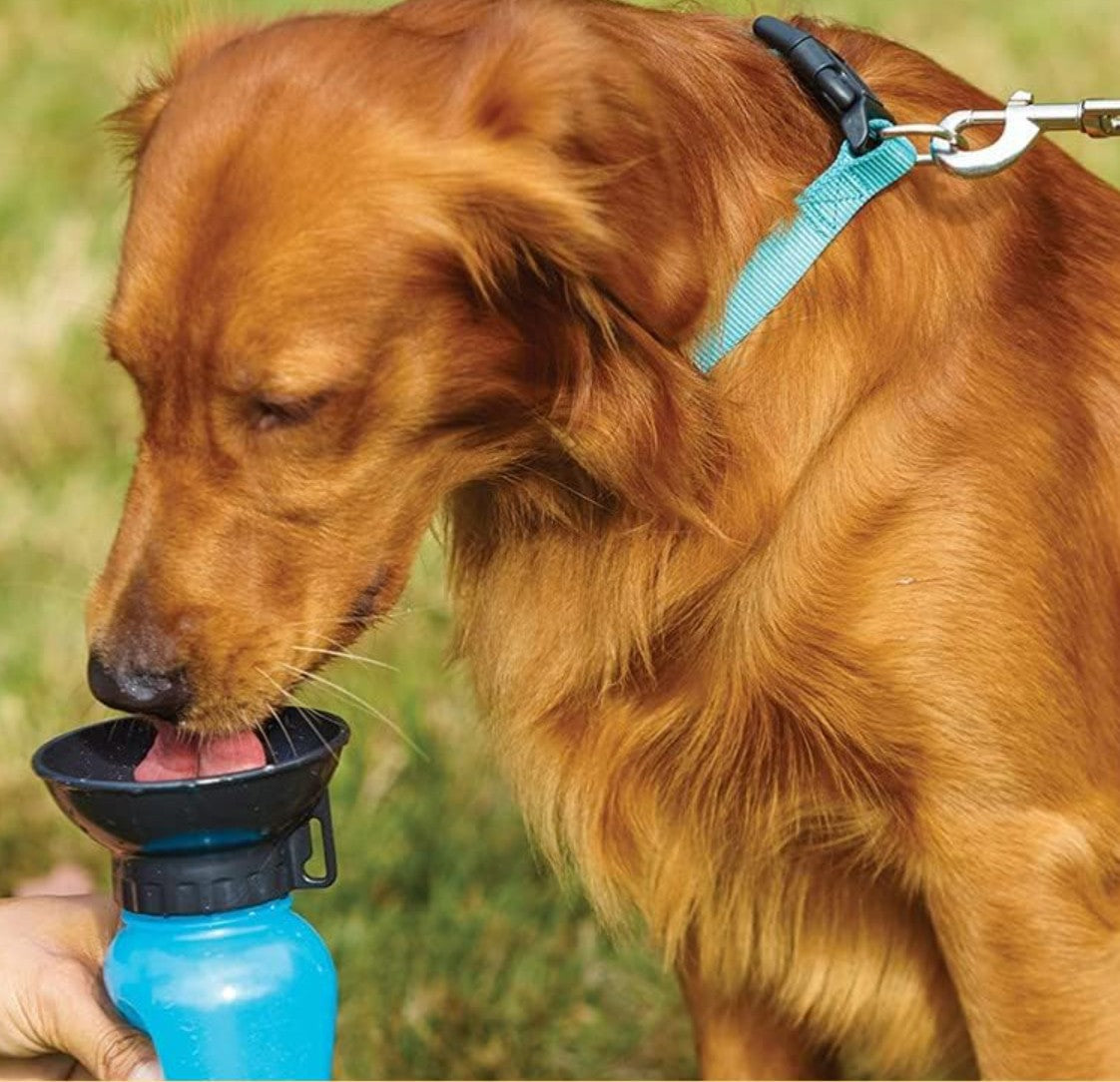 Gourde pour chien - HydraBol™