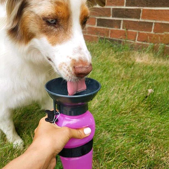 Gourde pour chien - HydraBol™