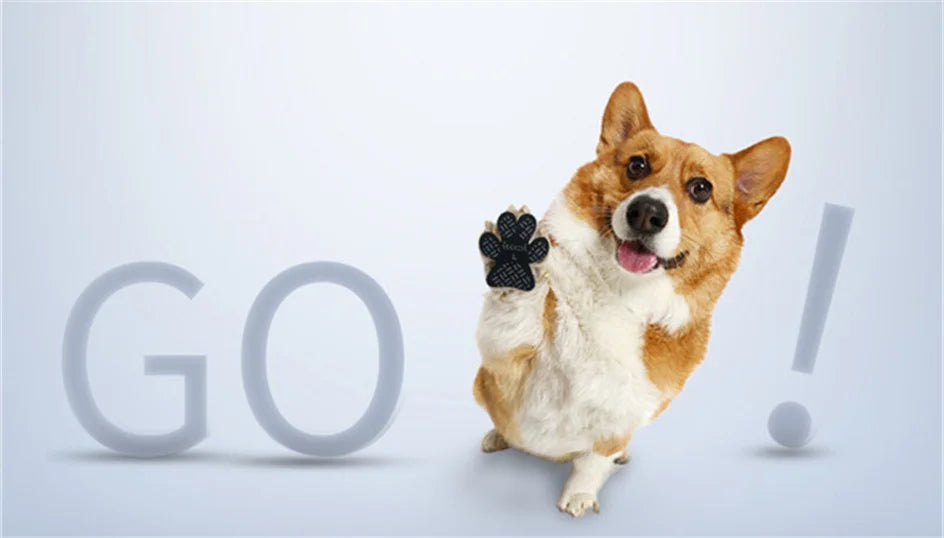 Coussinet Chien - Patounes™