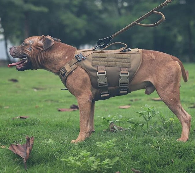 Harnais Chien - CaniTactik™