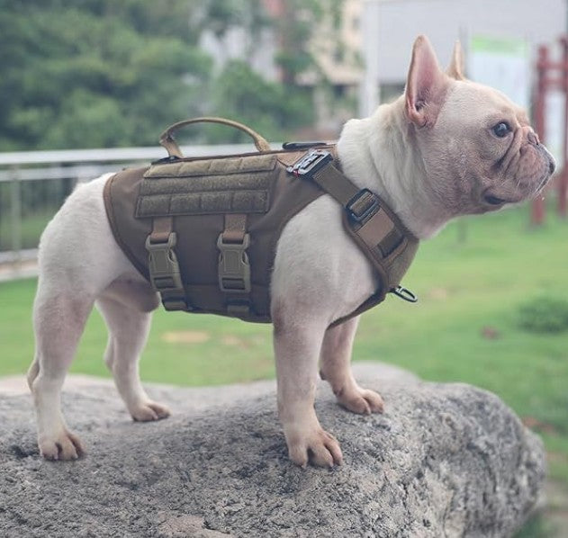 Harnais Chien - CaniTactik™