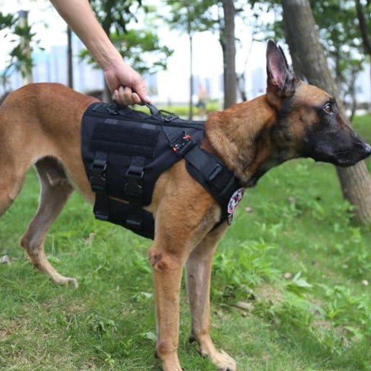 Harnais Chien - CaniTactik™