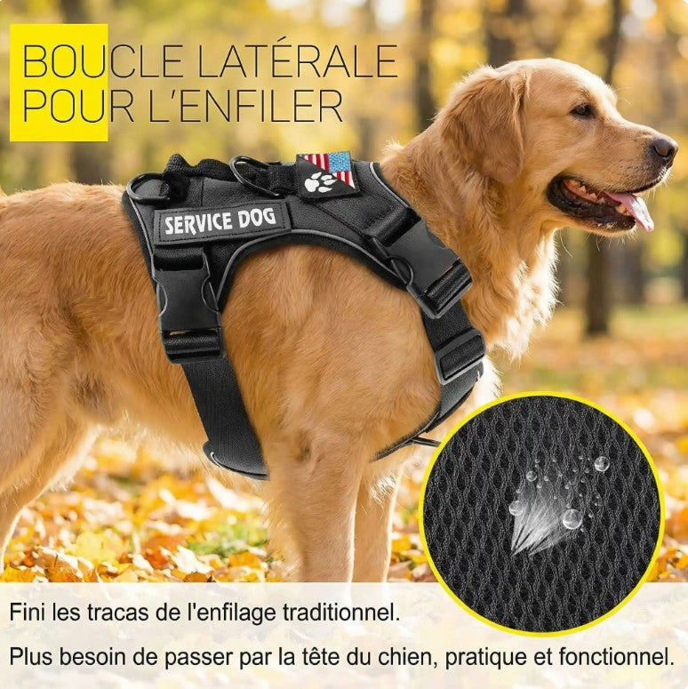 Harnais Chien - ServiPro™