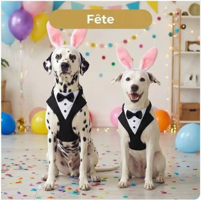 Harnais Chien - Smokingo™