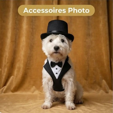 Harnais Chien - Smokingo™