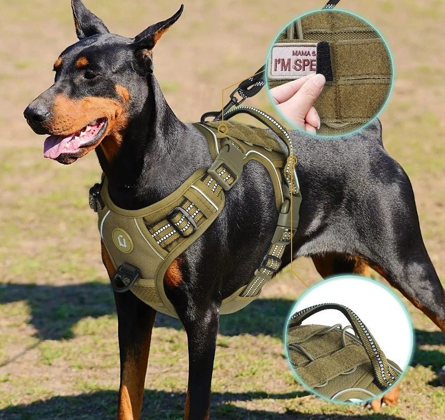 Harnais Chien - TactiChien™